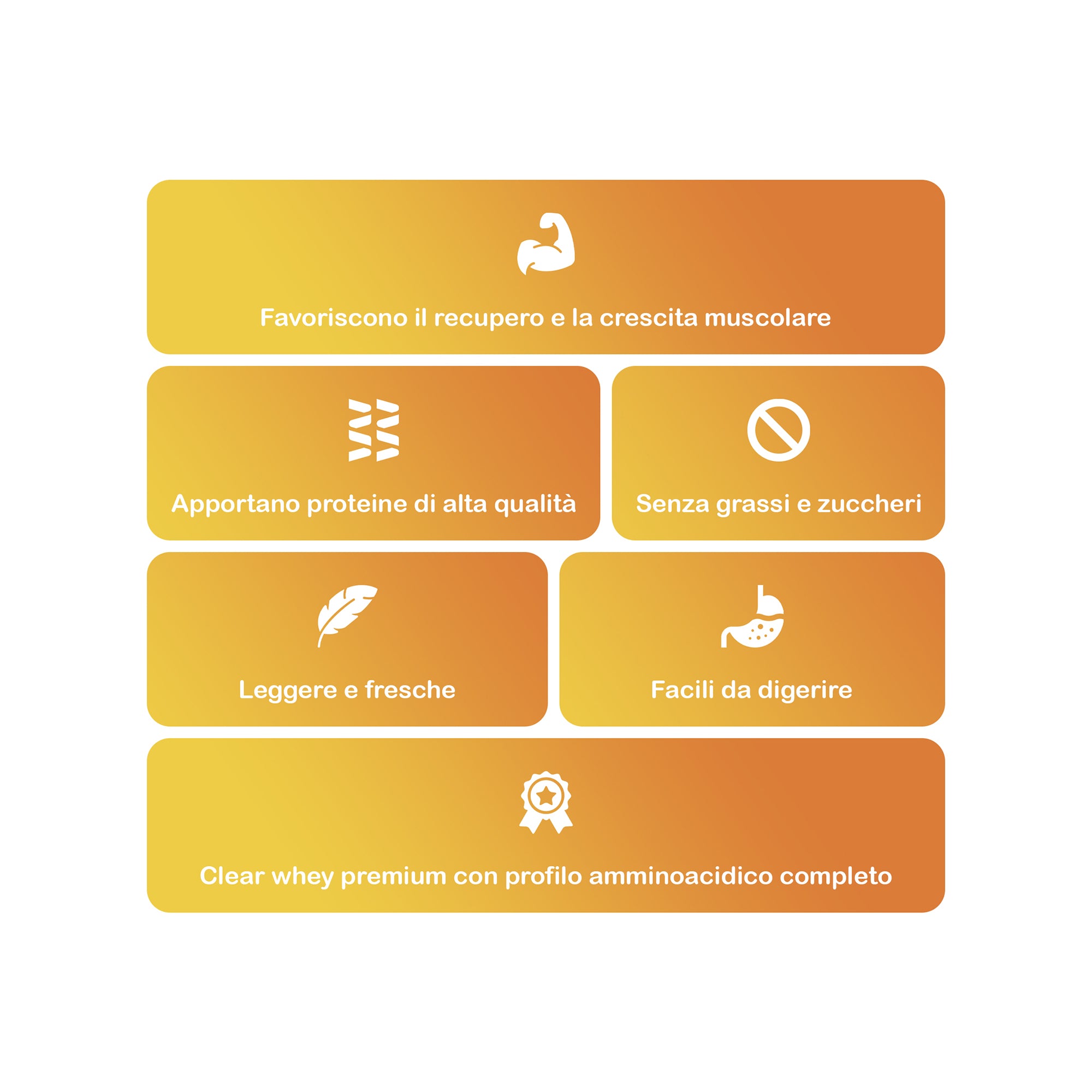 +1© PREMIUM CLEAR WHEY PROTEIN (500g)