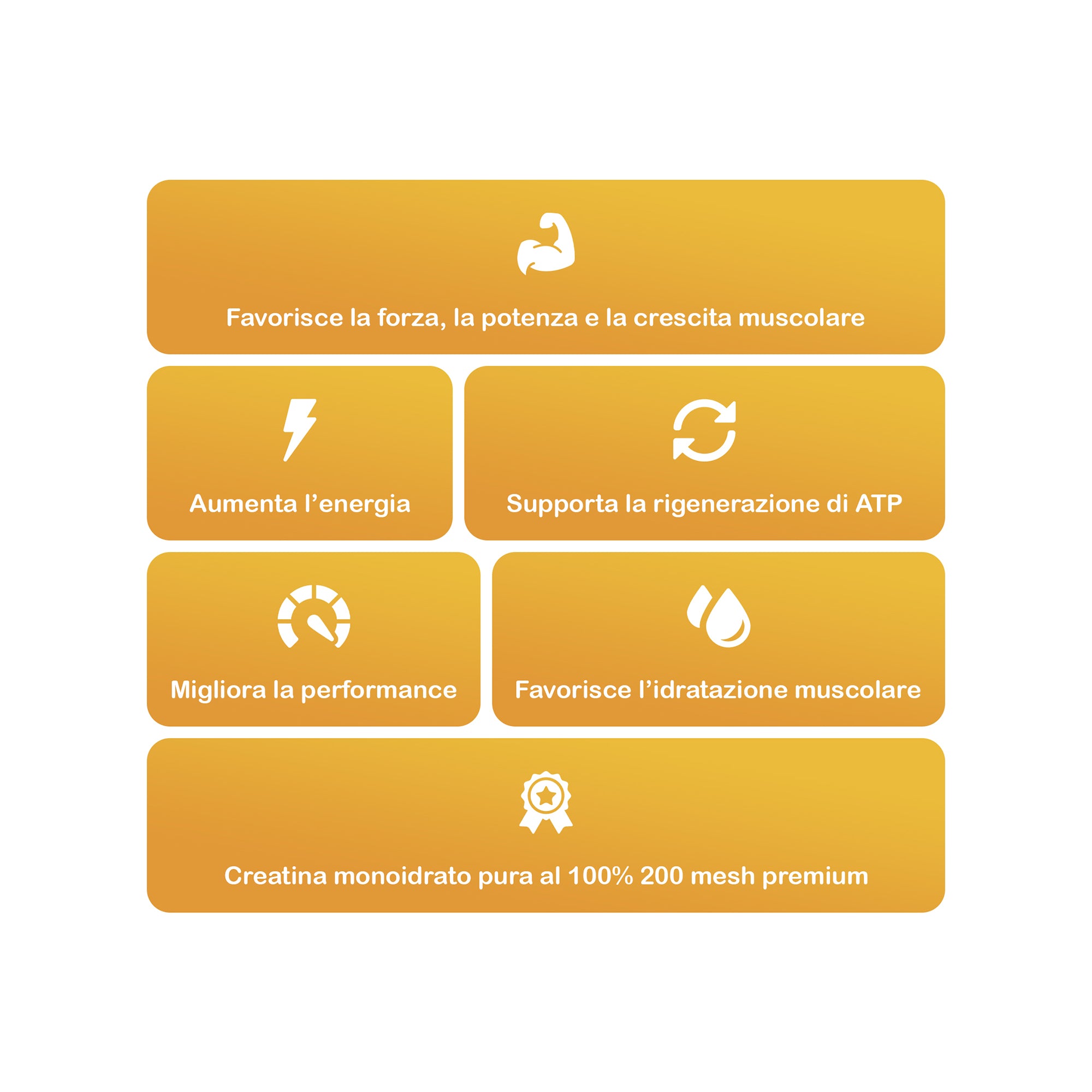 +1© PREMIUM CREATINE MONOHYDRATE (300g)