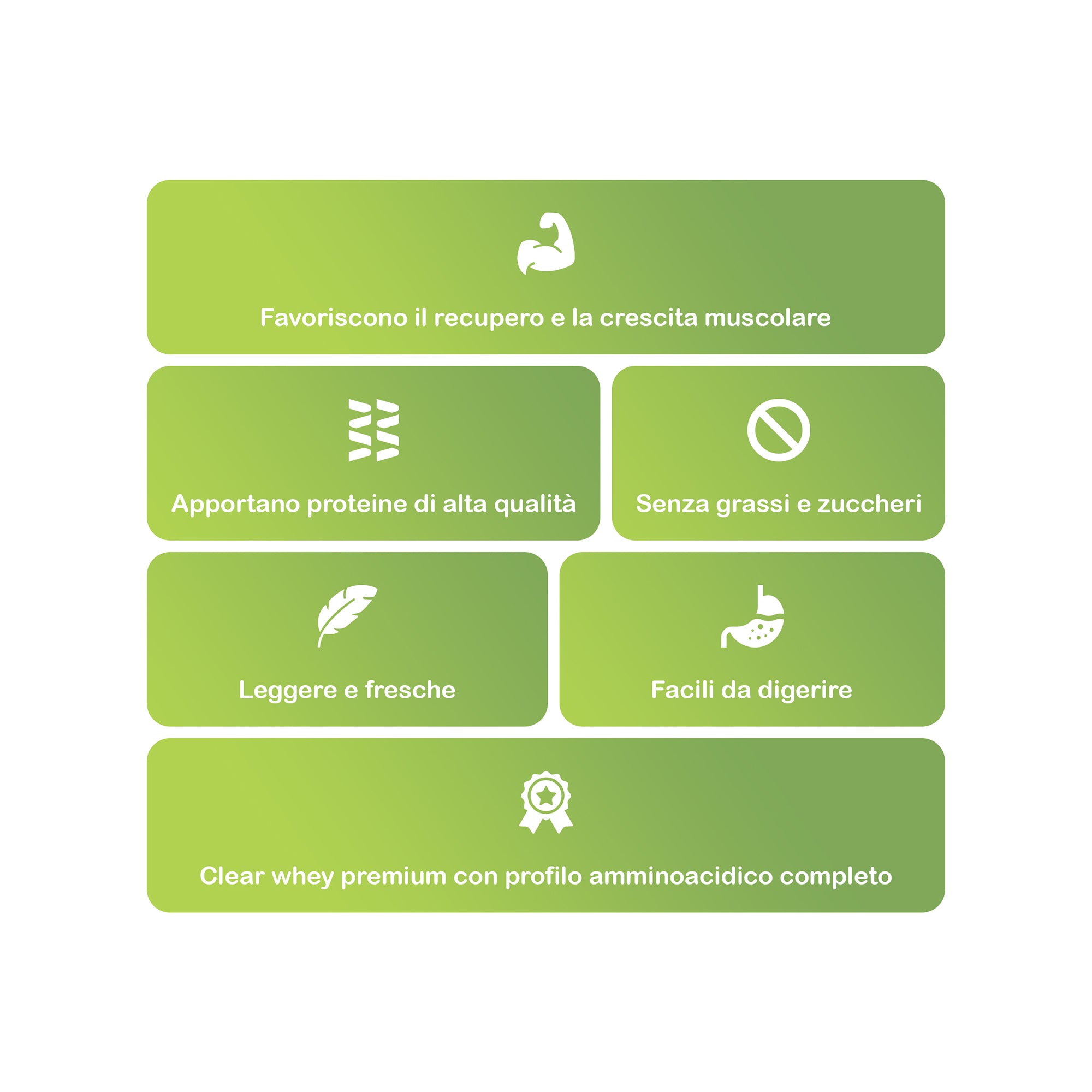 +1© PREMIUM CLEAR WHEY PROTEIN (500g)