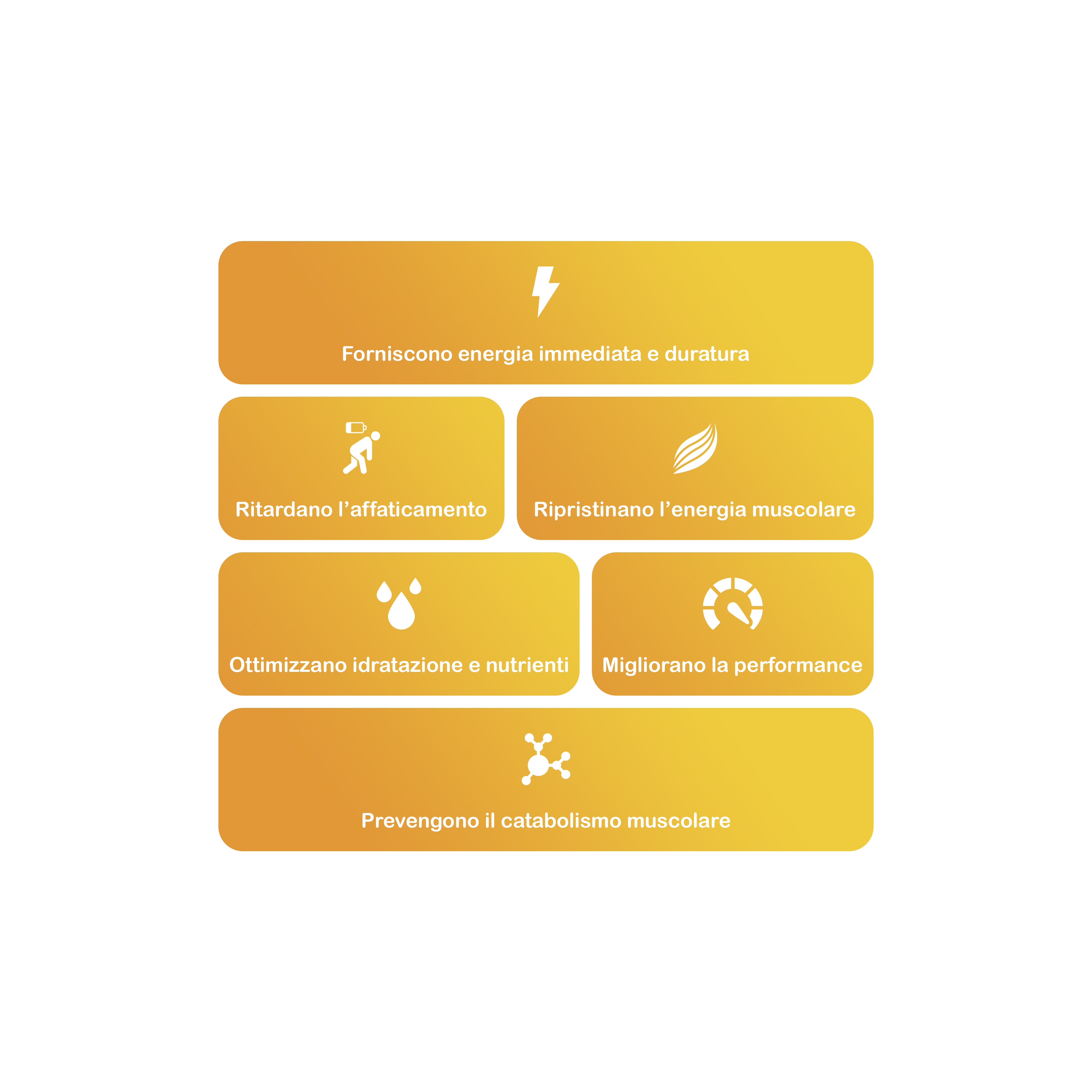+1© PERFORMANCE Intra Carbs (755g | 30 Dosi)