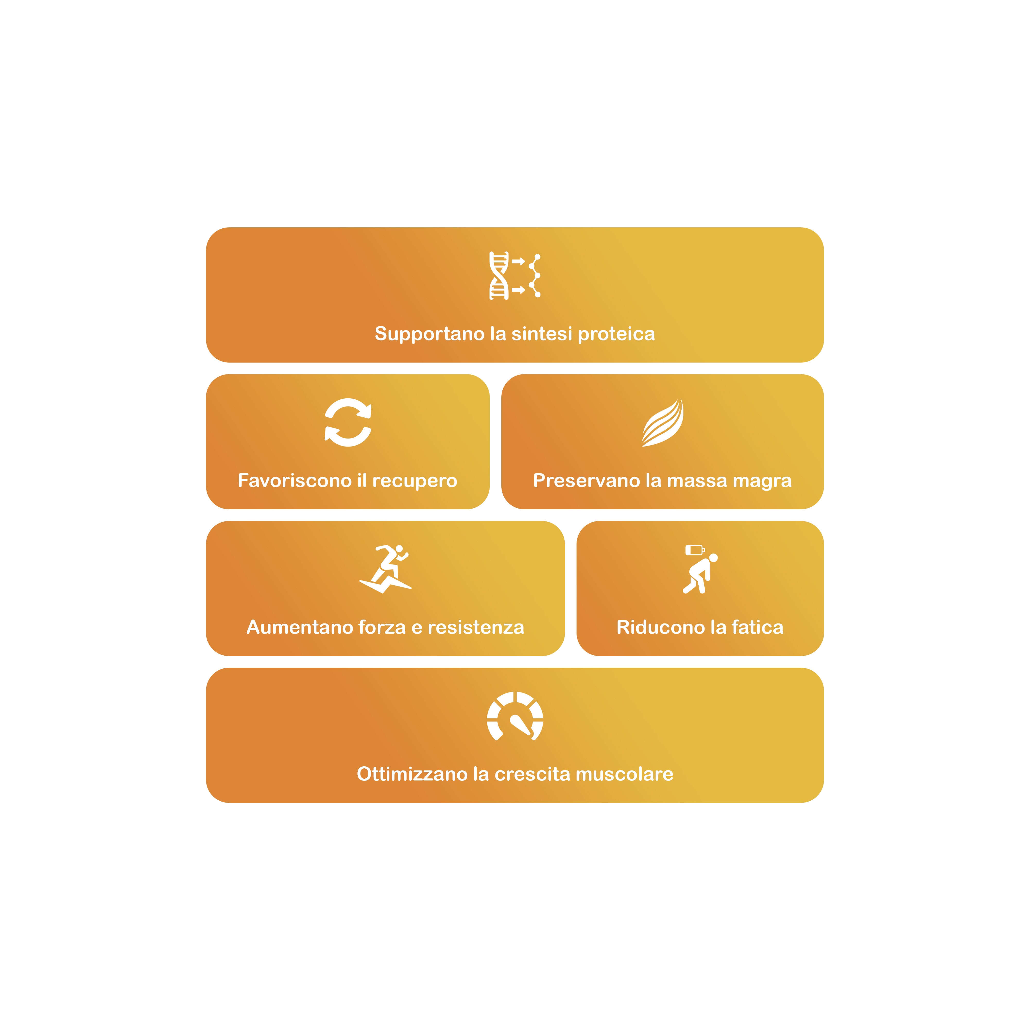 +1© EAA Essential Amino Acids (500g | 42 Dosi)