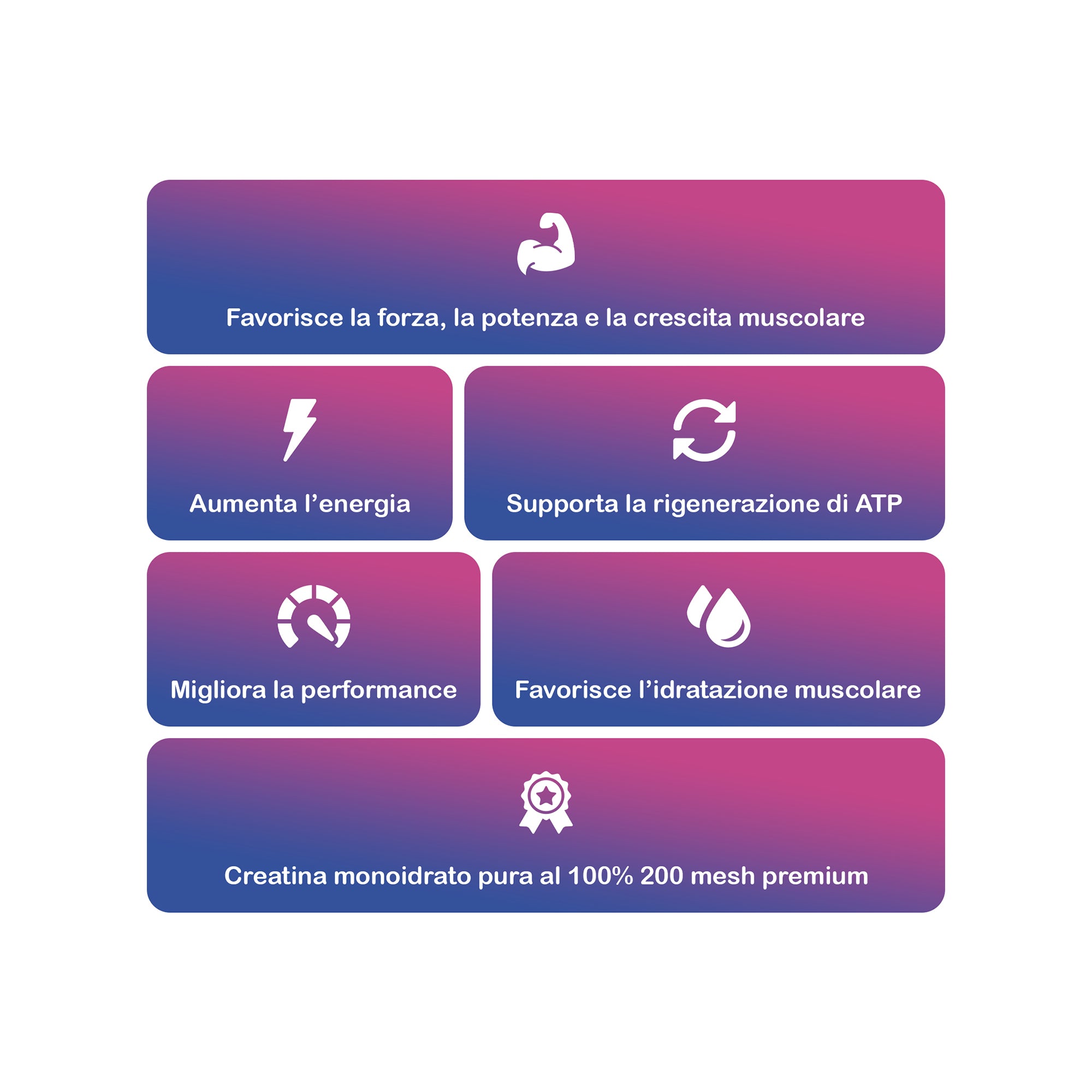 +1© PREMIUM CREATINE MONOHYDRATE (300g)