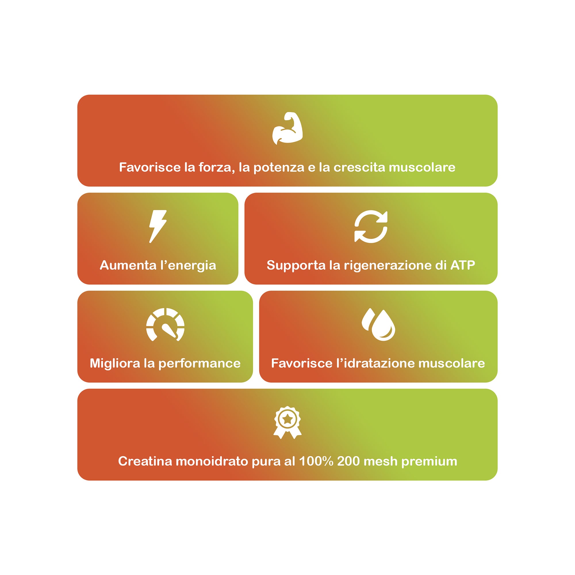 +1© PREMIUM CREATINE MONOHYDRATE (300g)